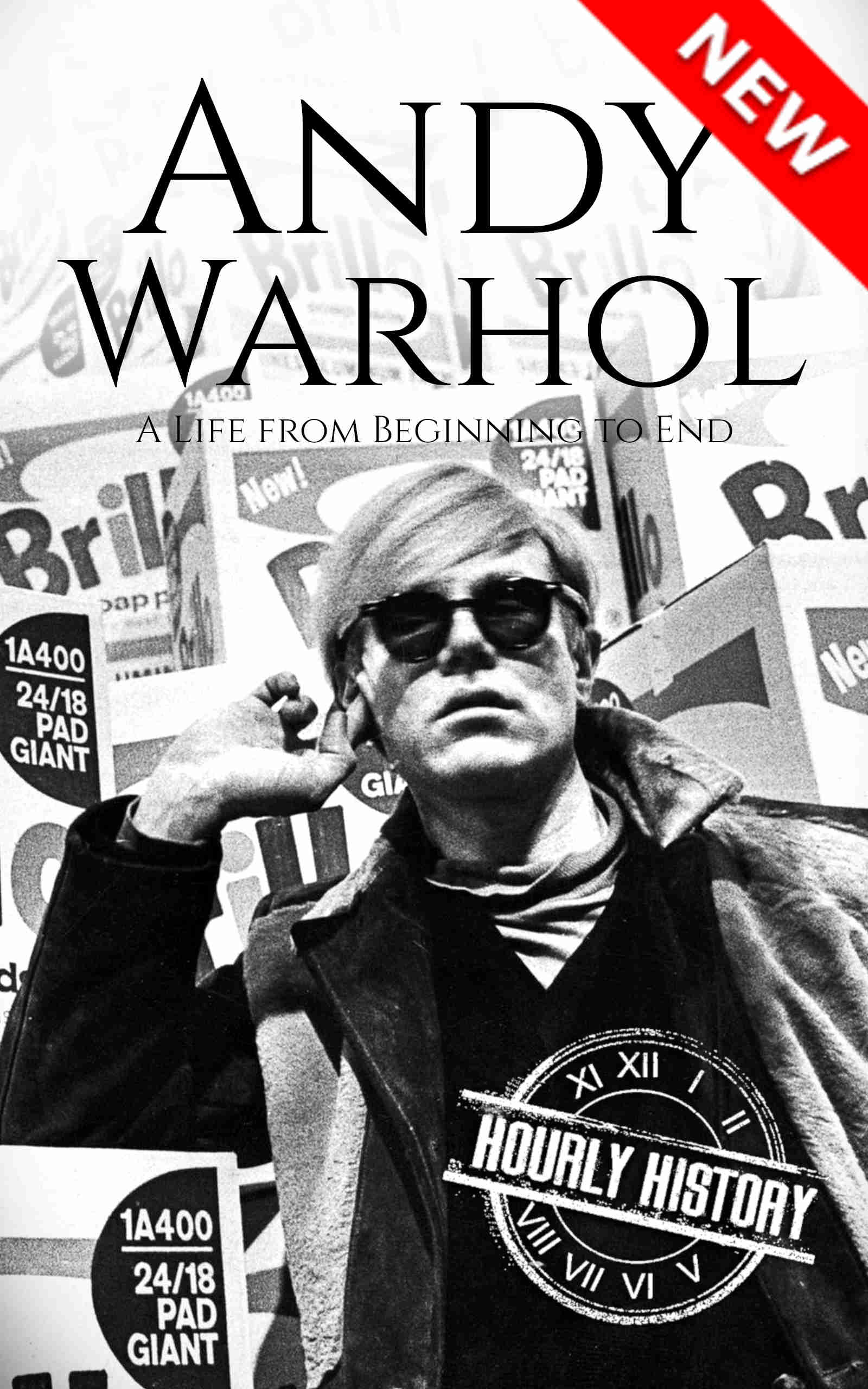 Book cover for Andy Warhol