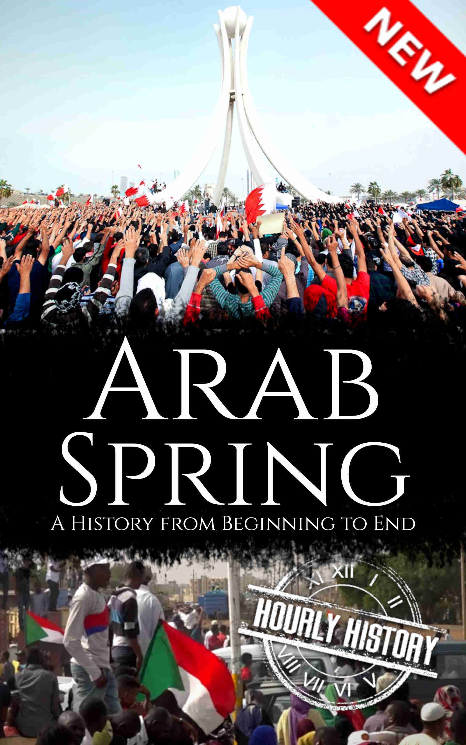 Book cover for Arab Spring