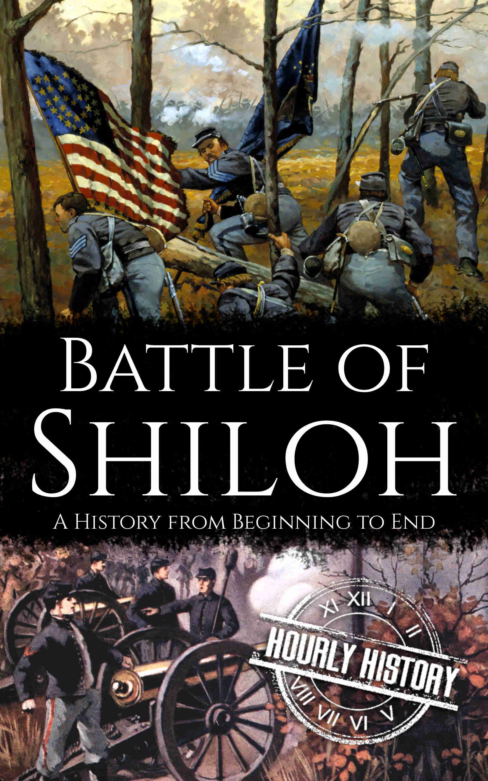 Book cover for Battle of Shiloh