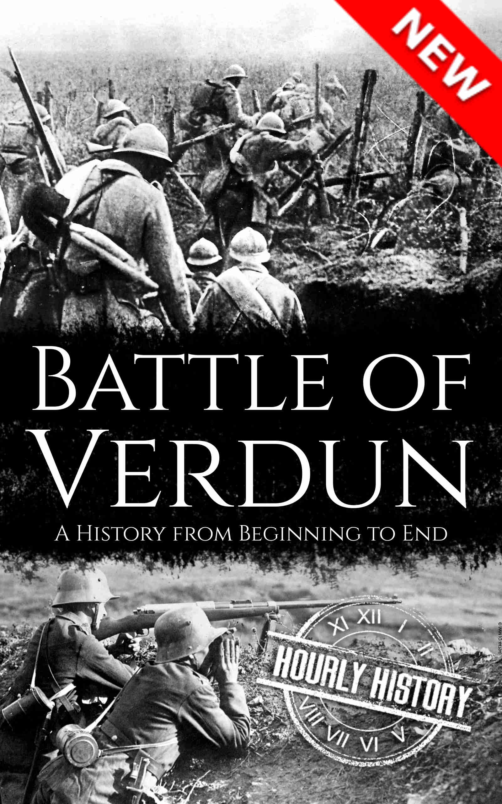 Book cover for Battle of Verdun