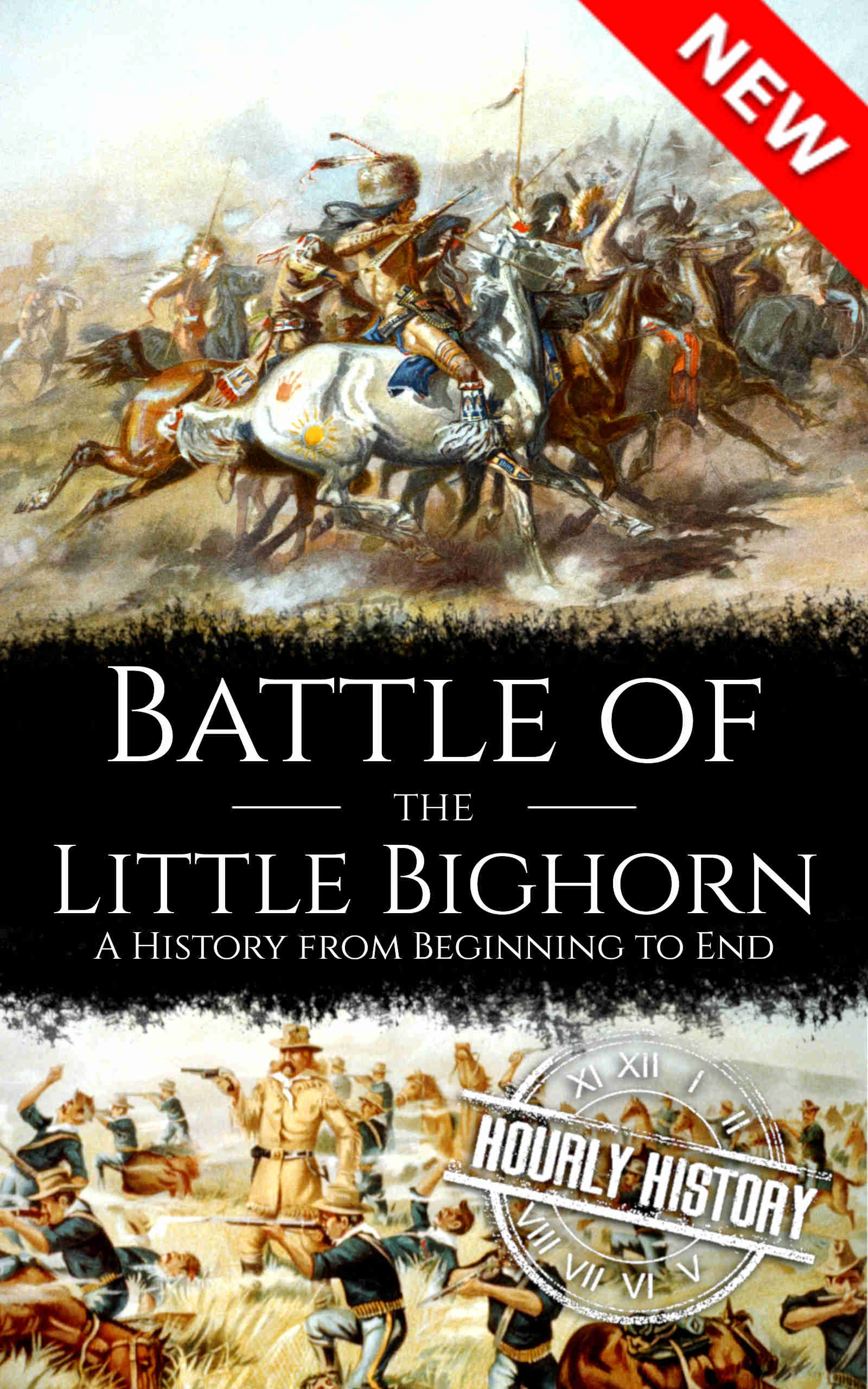Book cover for