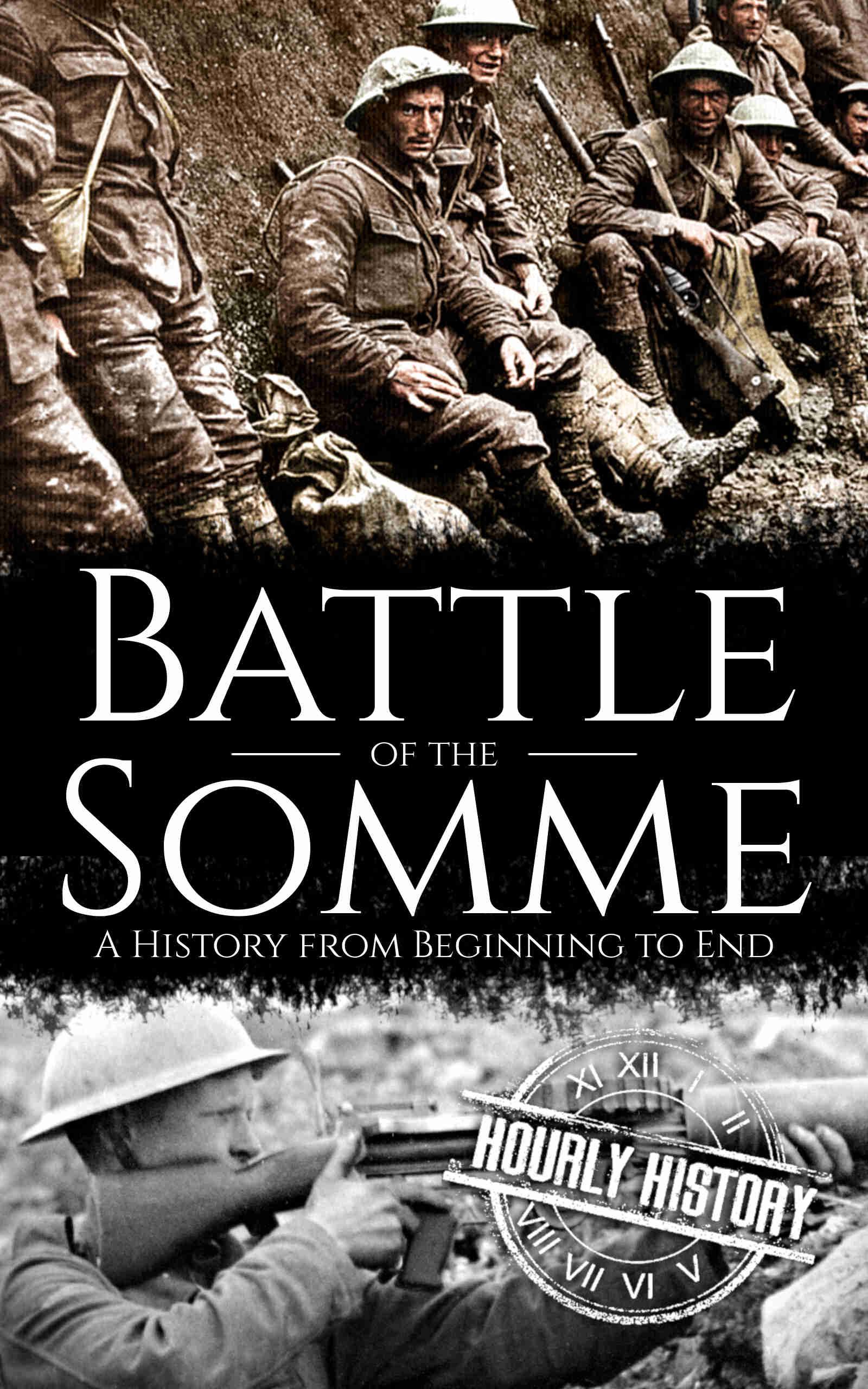 Book cover for Battle of the Somme