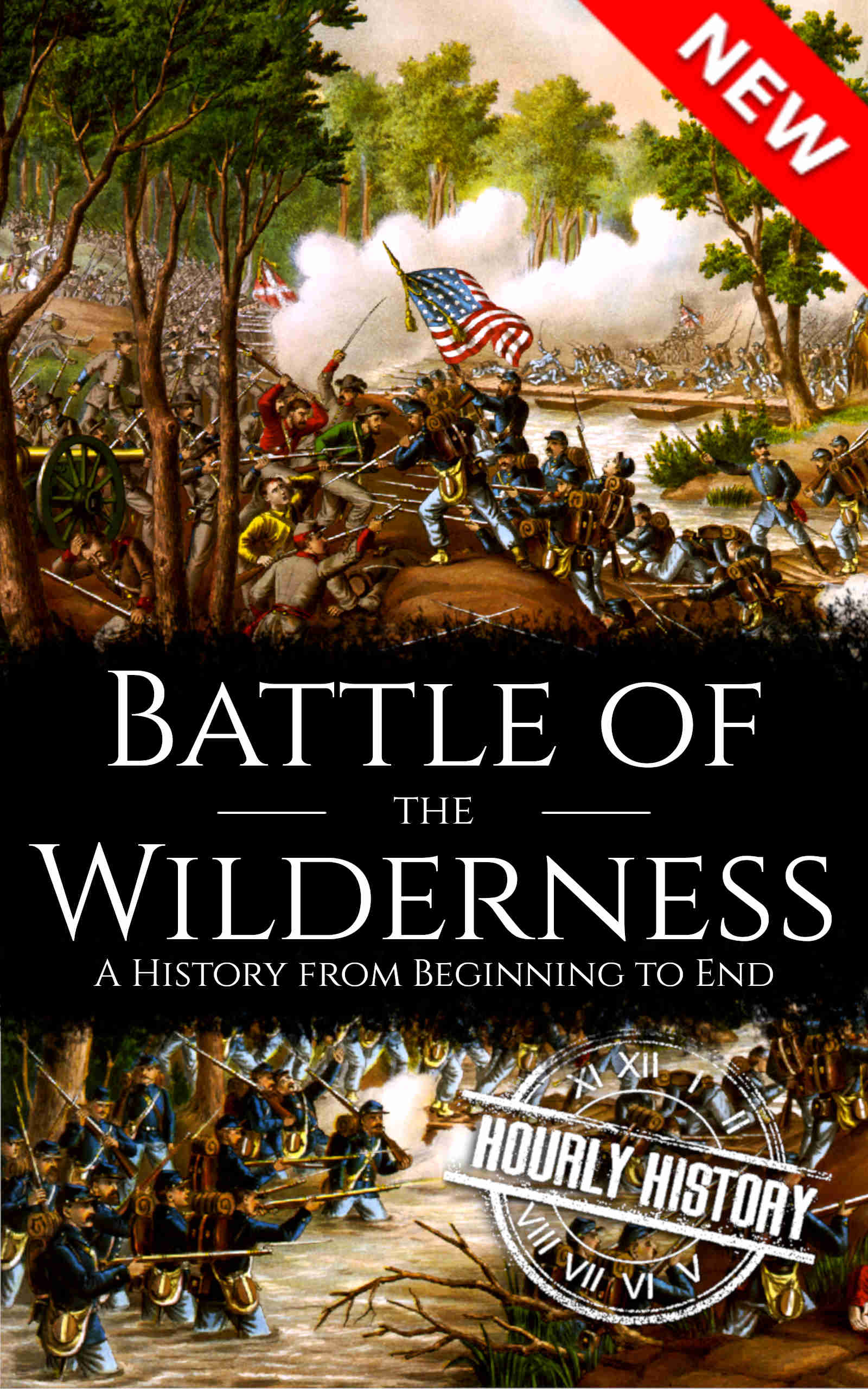 Book cover for Battle of the Wilderness