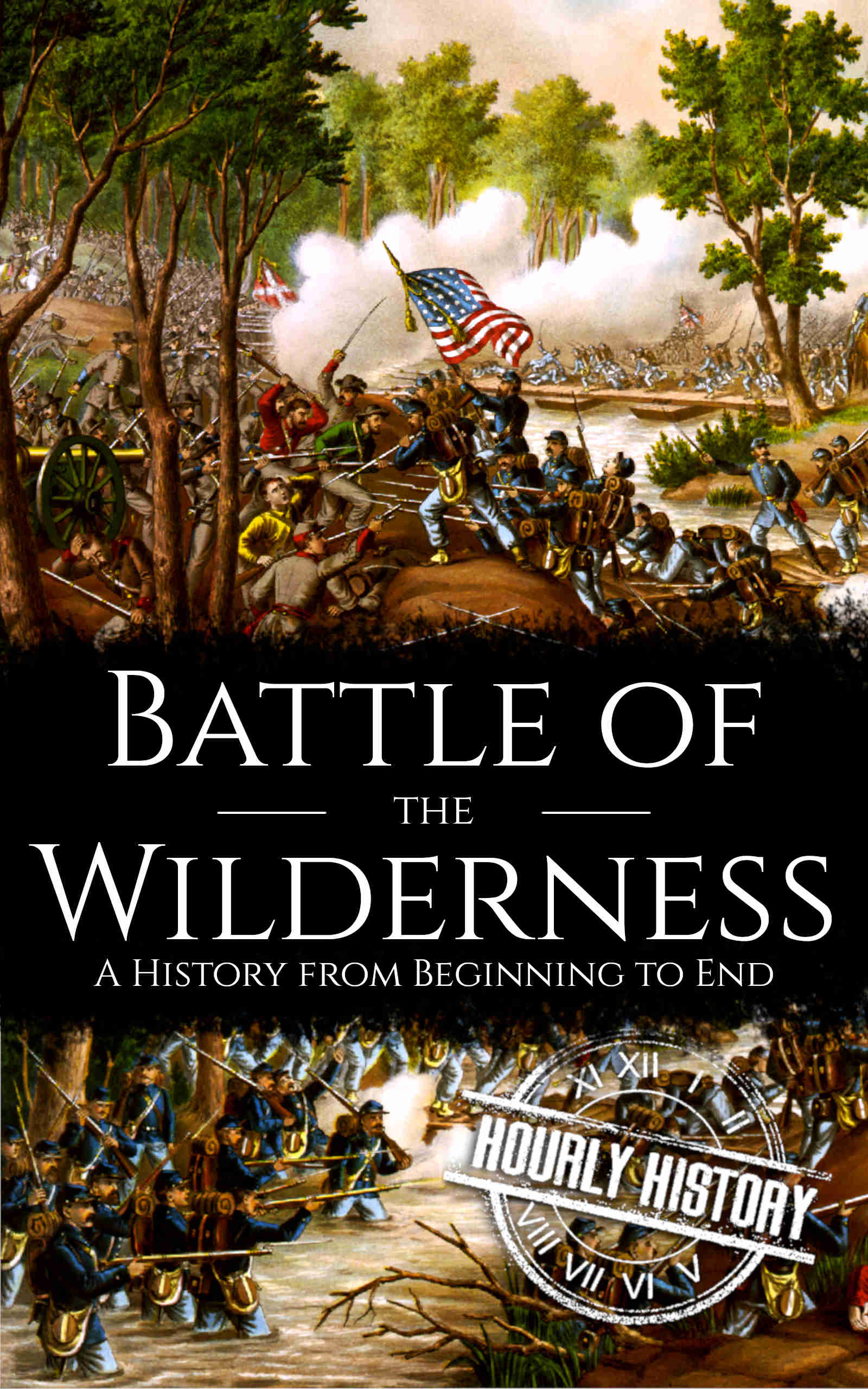 Book cover for Battle of the Wilderness