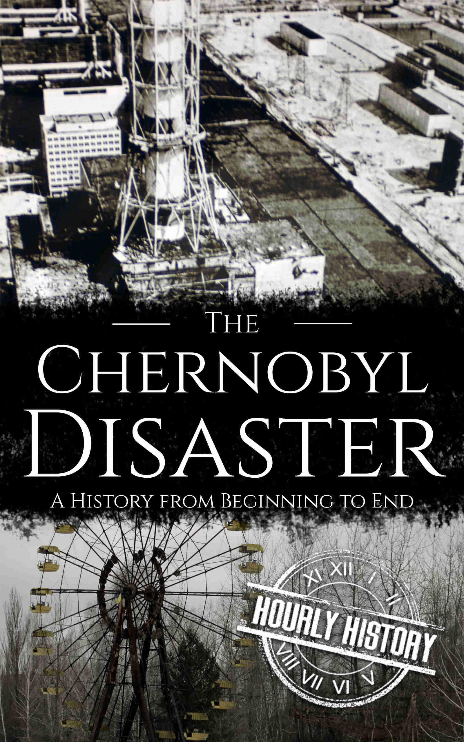 Book cover for Chernobyl Disaster