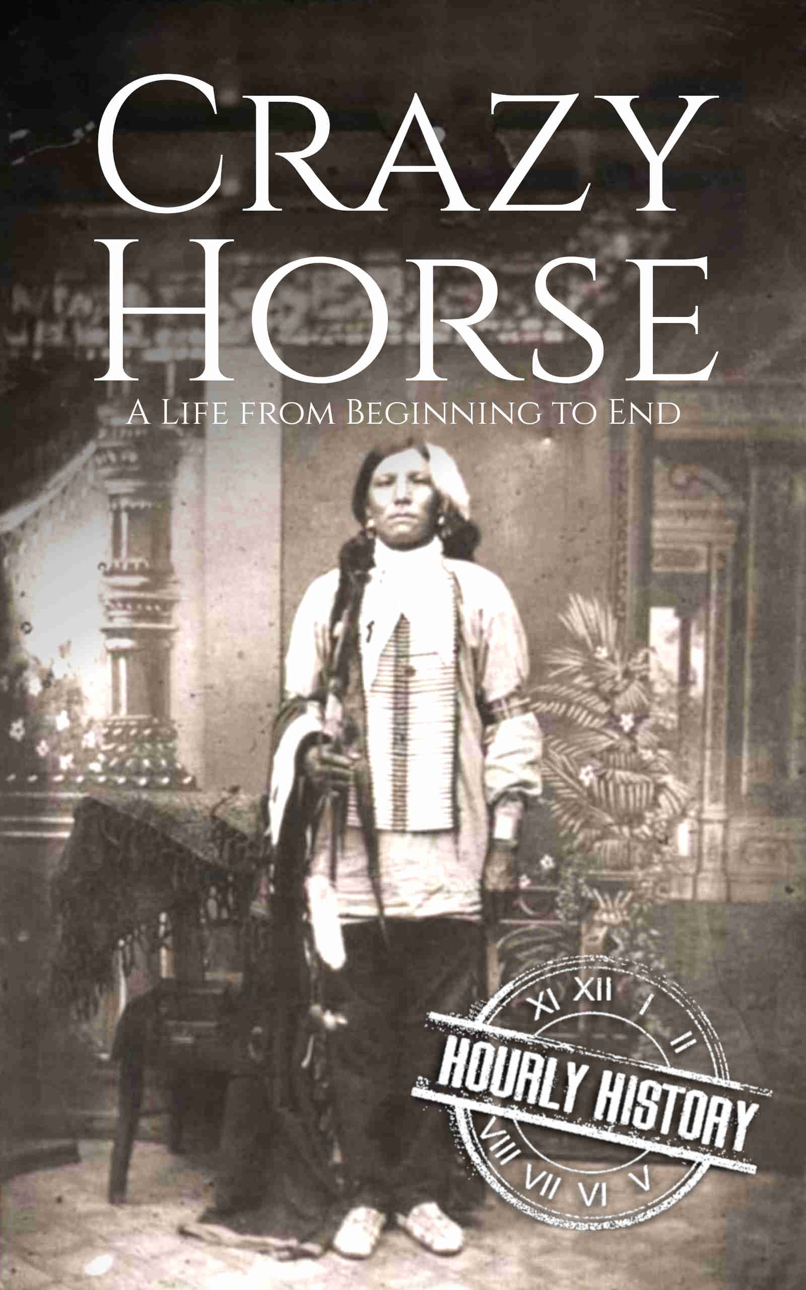 Book cover for Crazy Horse