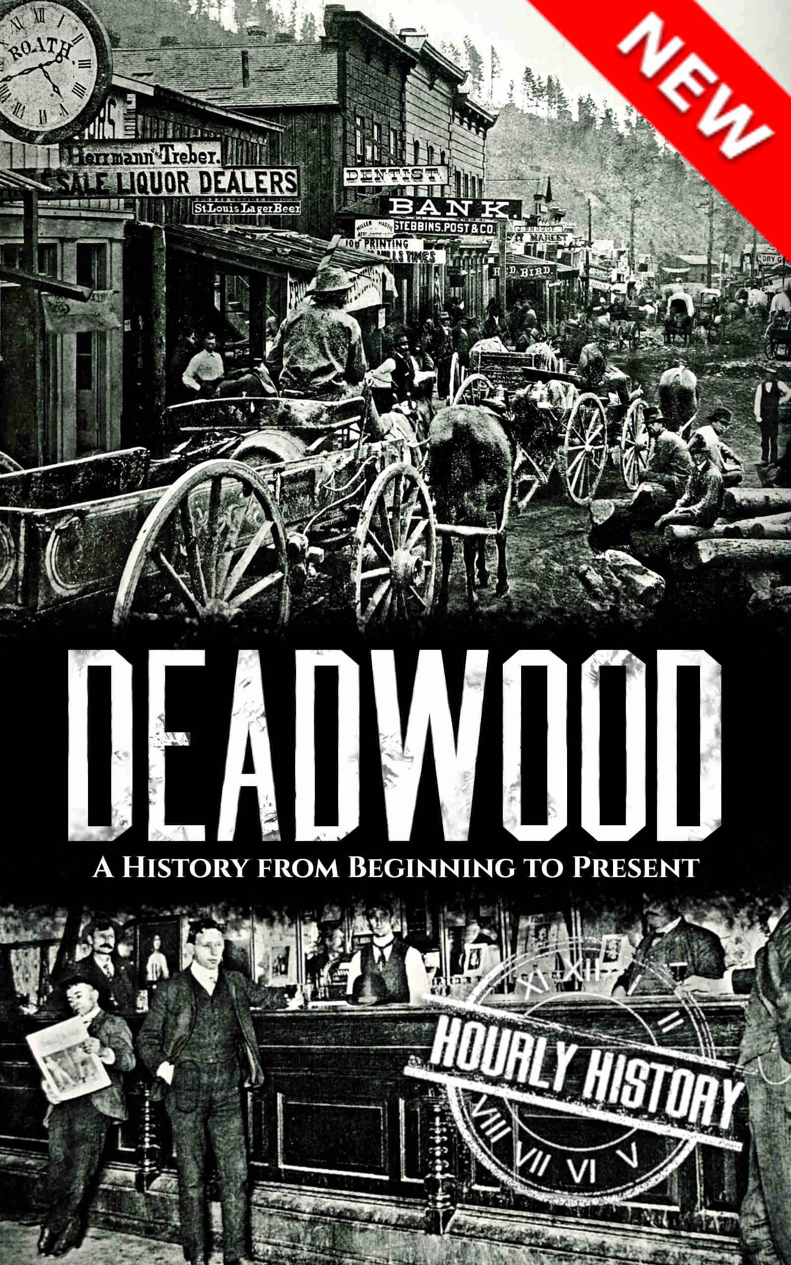 Book cover for
