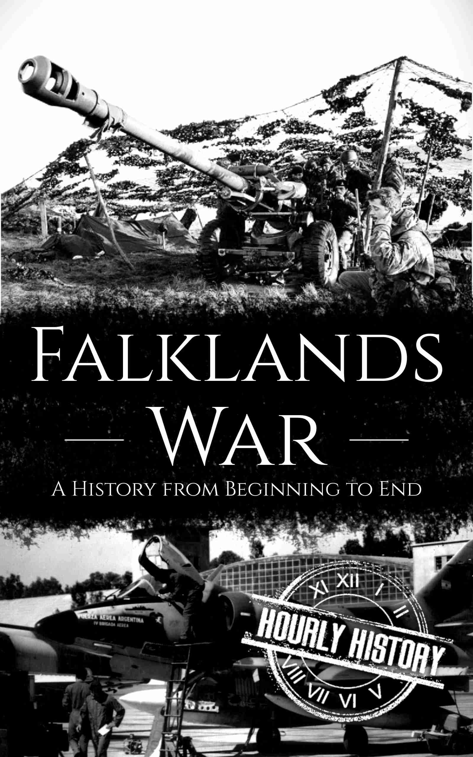 Book cover for Falklands War