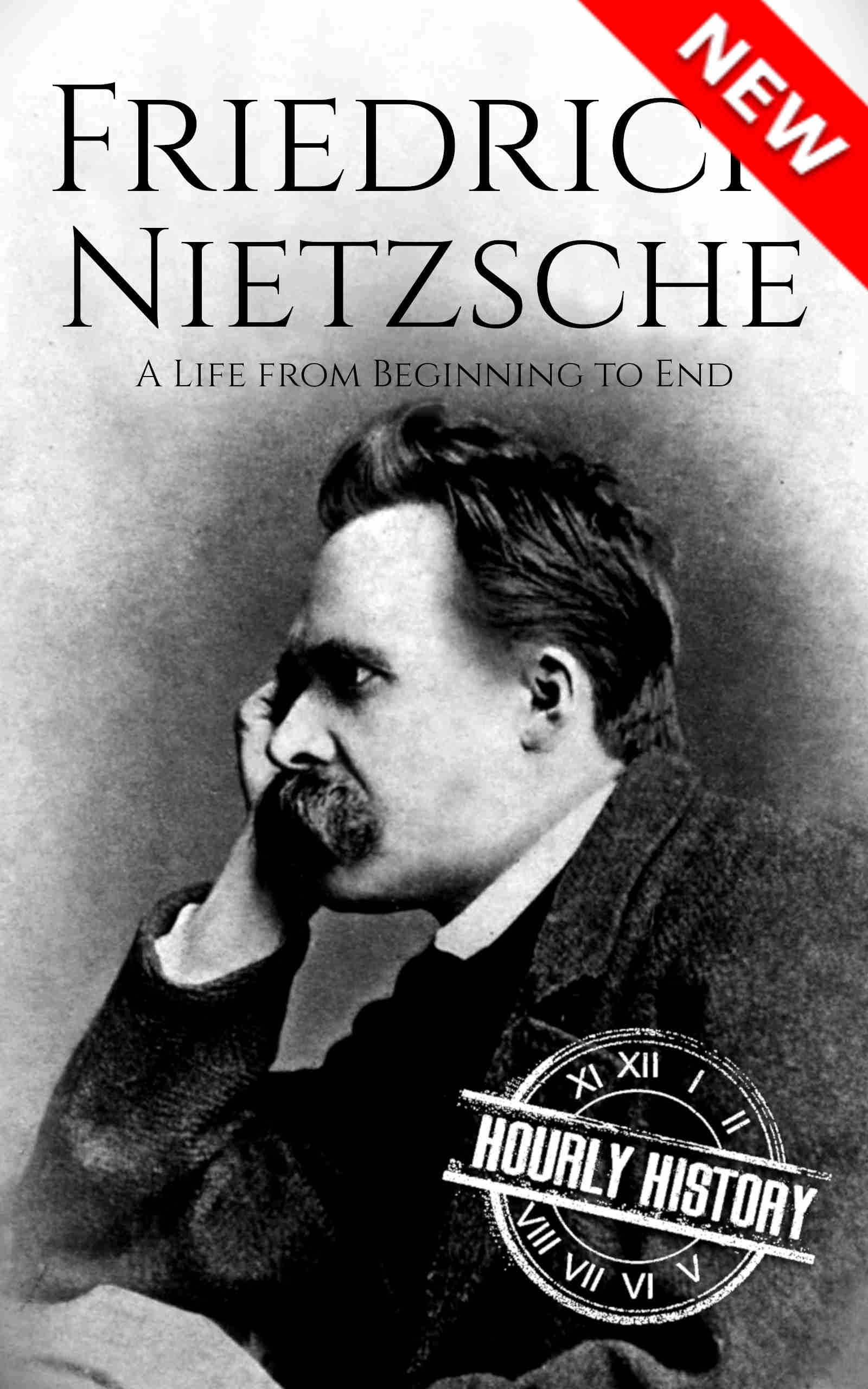 Book cover for Friedrich Nietzsche