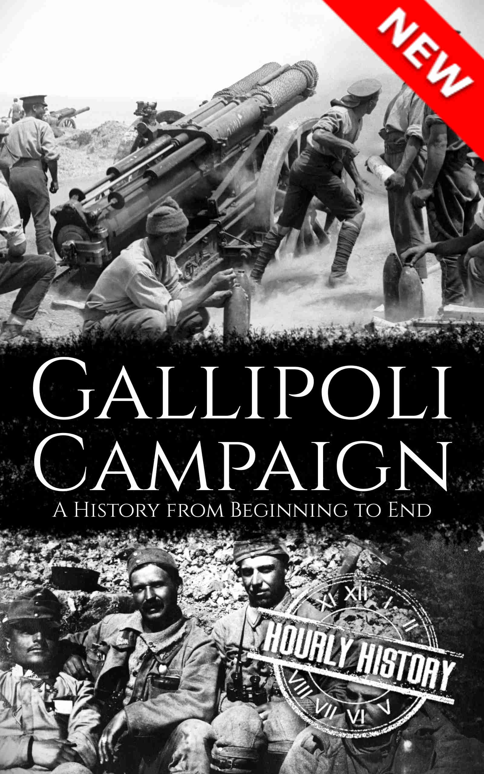 Book cover for Gallipoli Campaign