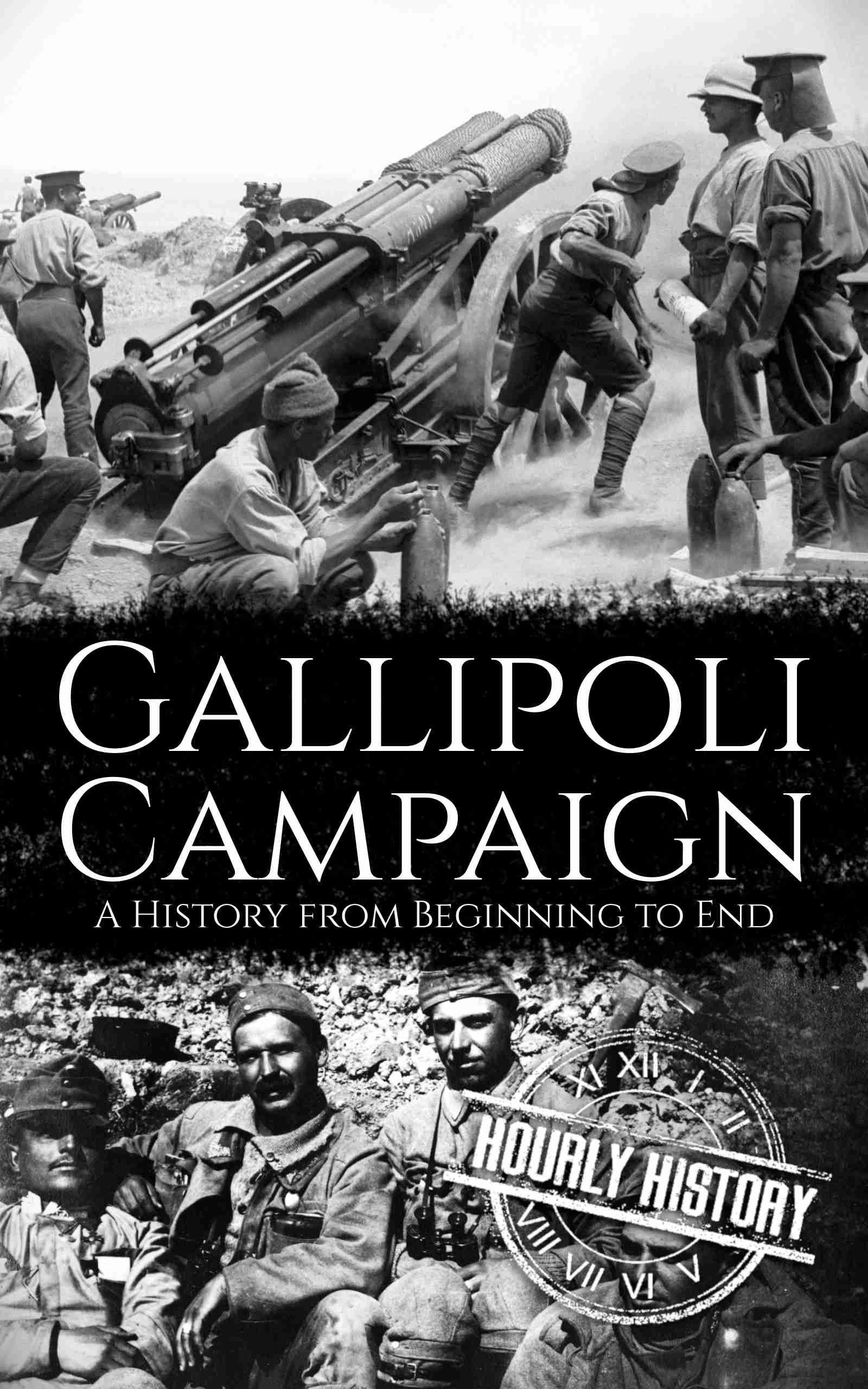 Book cover for Gallipoli Campaign