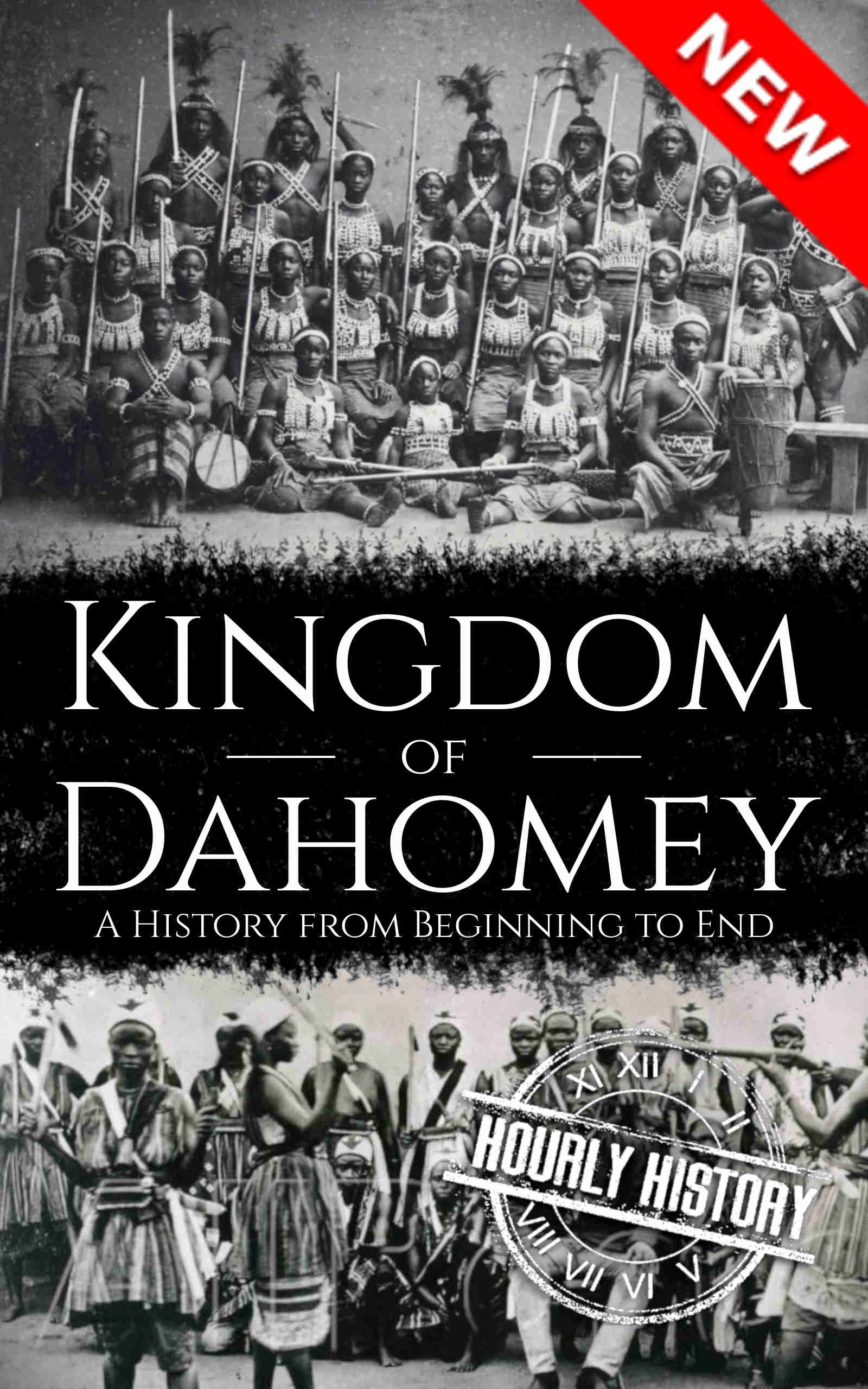 Book cover for Kingdom of Dahomey