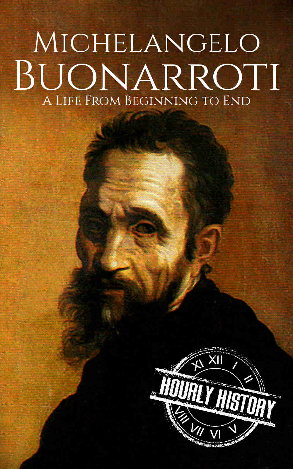 biography of michelangelo book