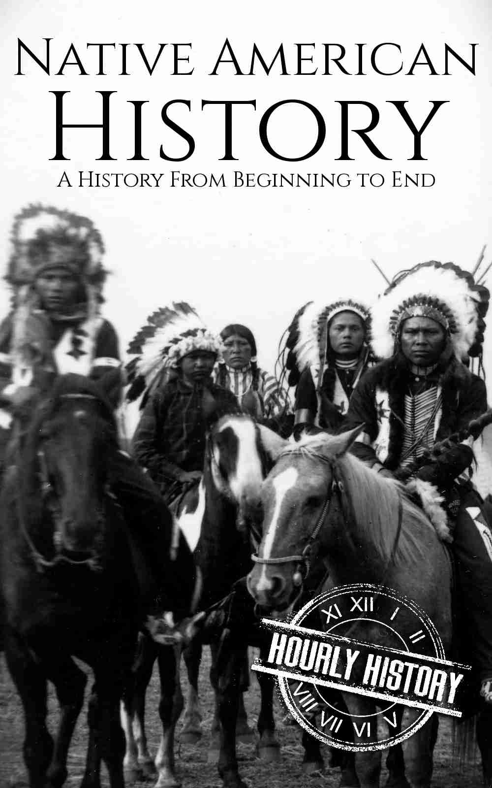 Book cover for Native American History