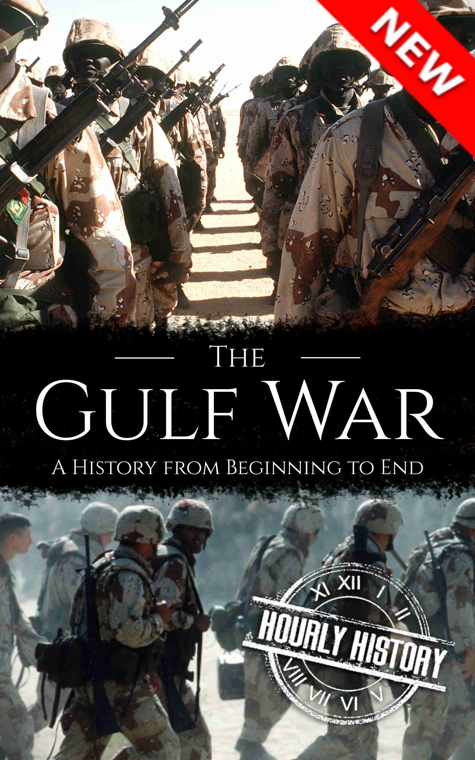 Book cover for The Gulf War