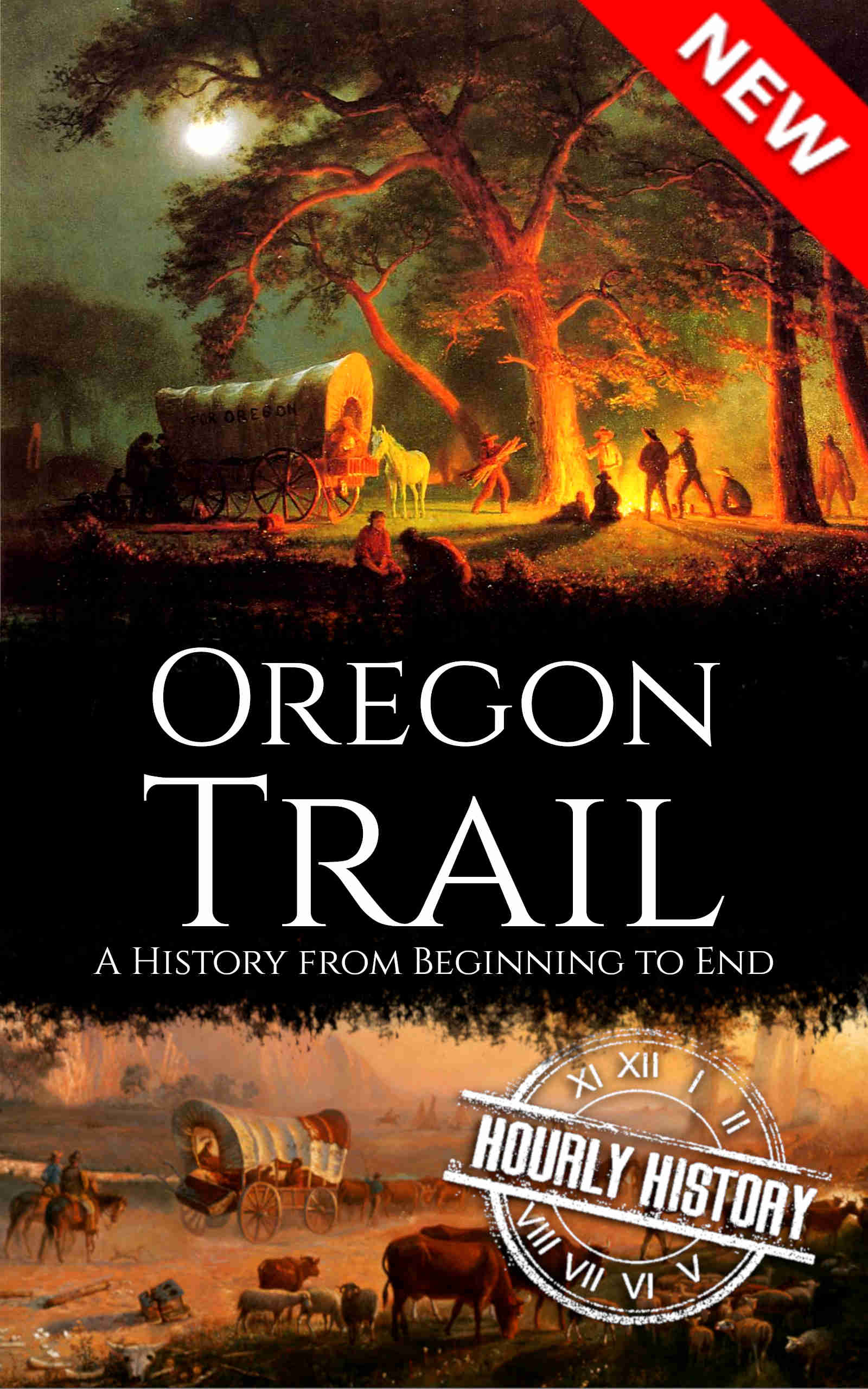 Book cover for